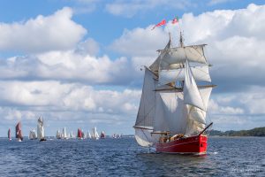 Lilla Dan foran feltet