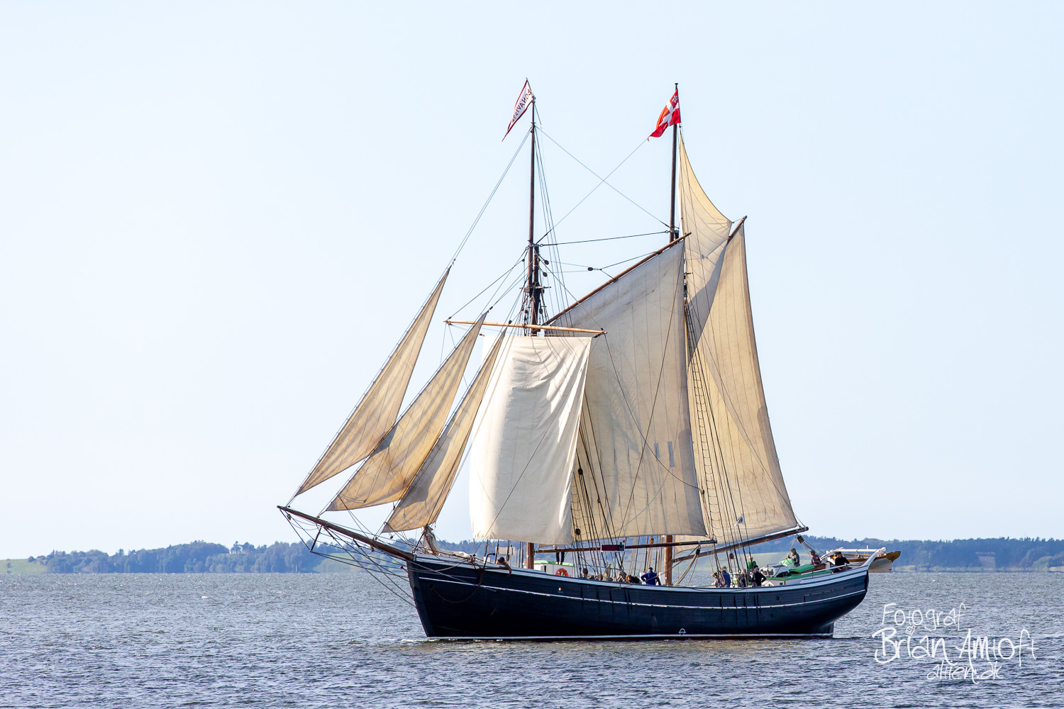 Billede af Bonavista