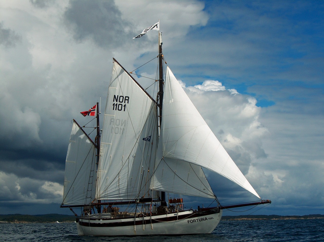 Billede af FORTUNA TEEL