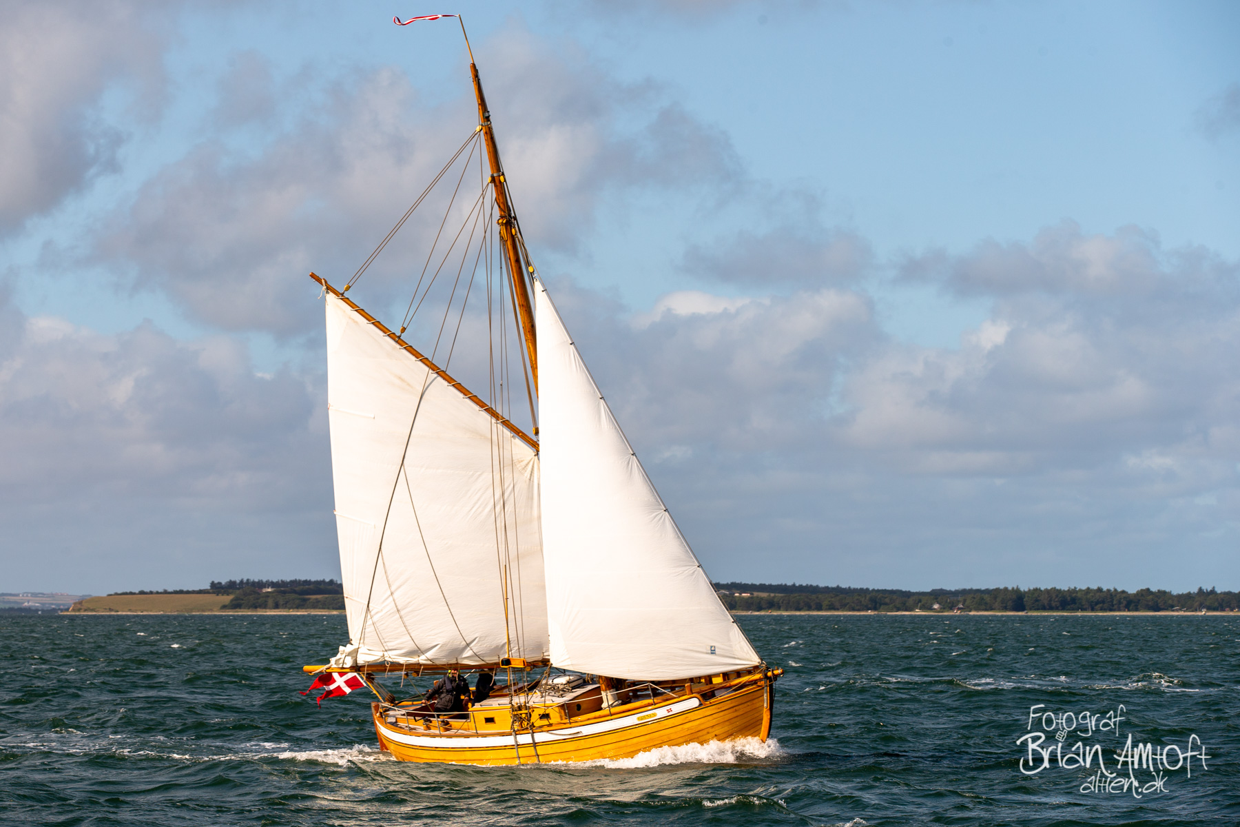 Billede af Grenen