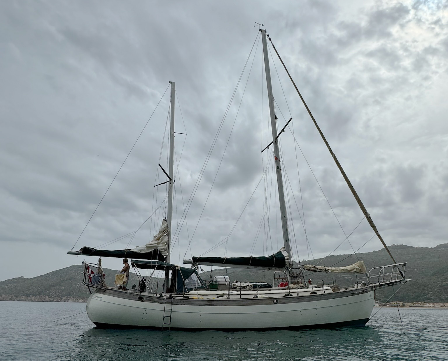 Billede af Morgenvandreren