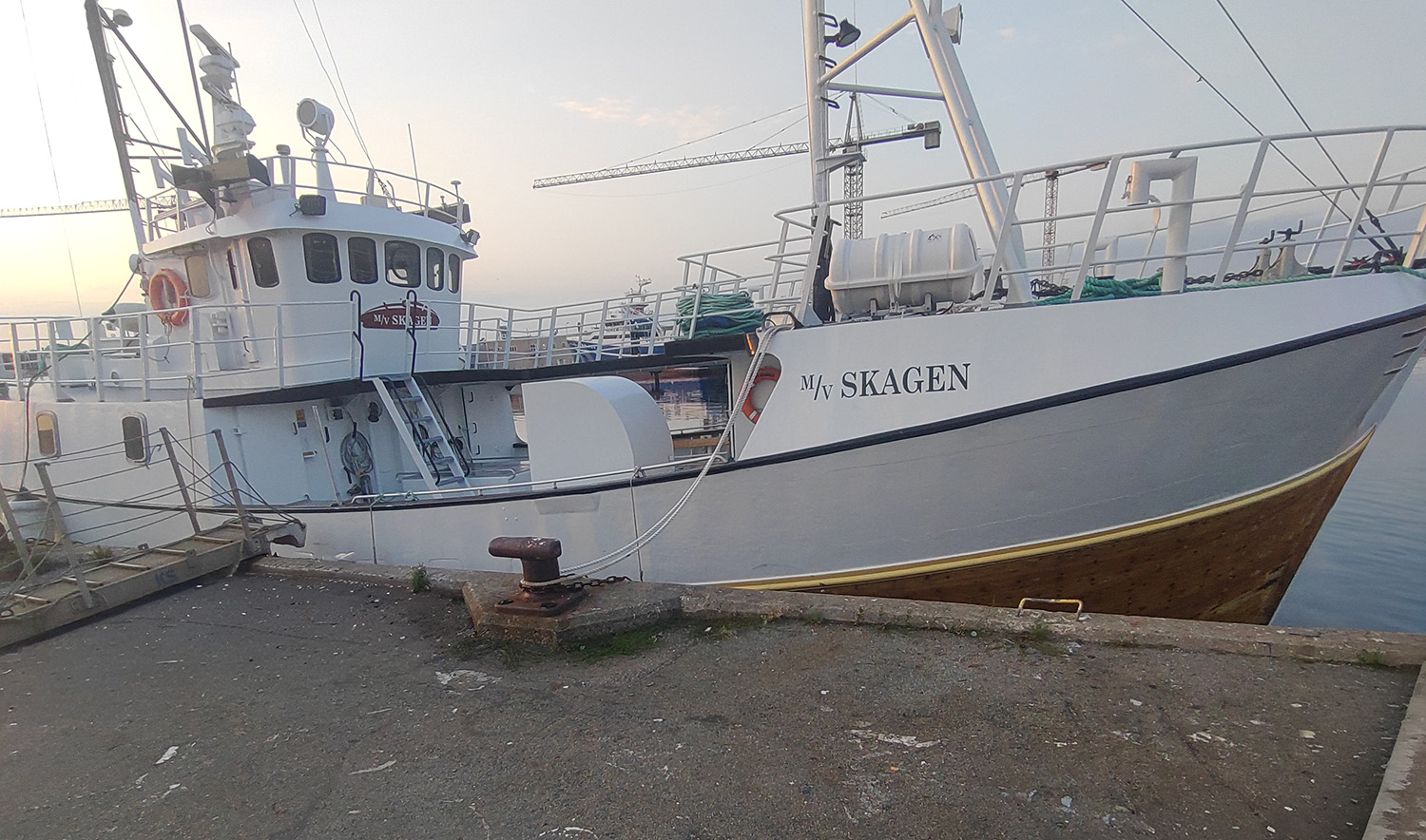 Billede af M/V Skagen