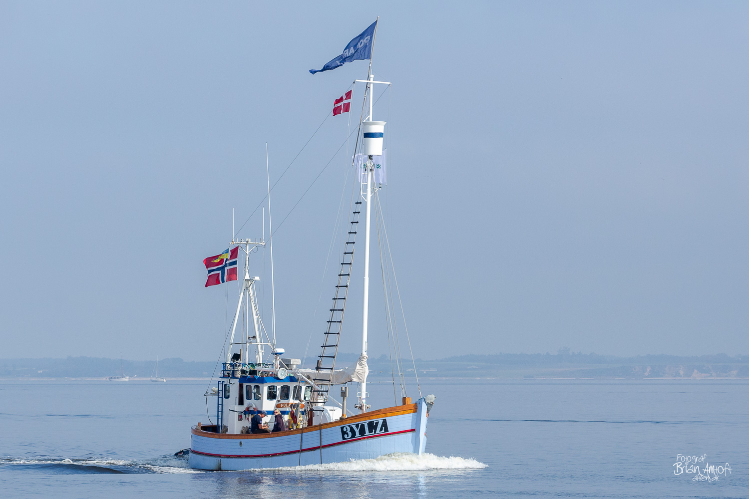 Billede af Polarulv