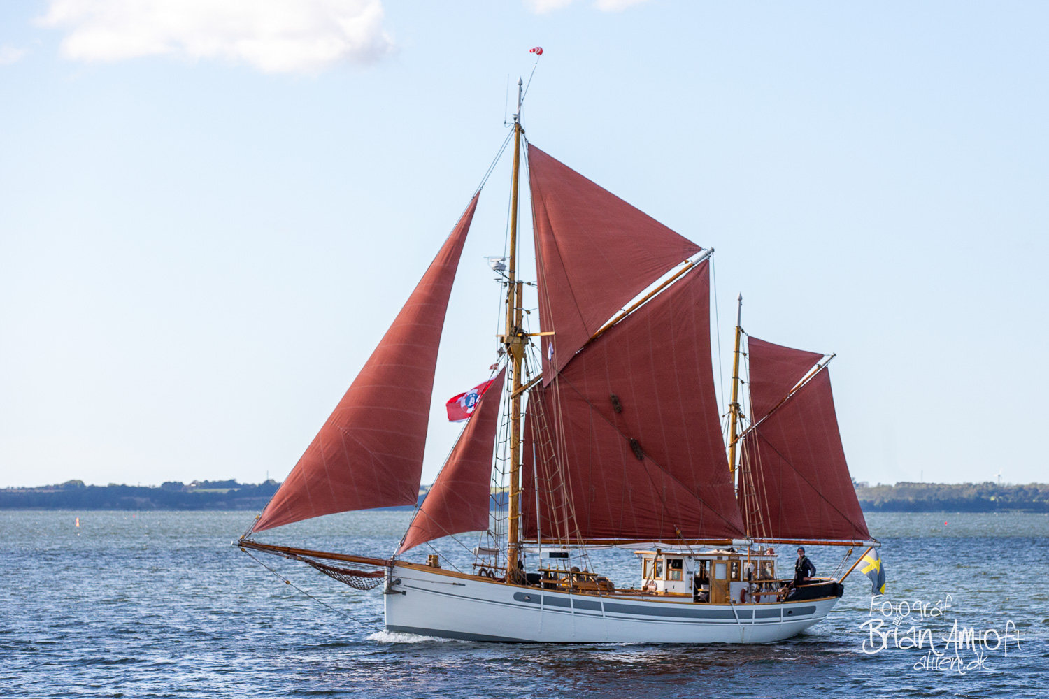 Billede af Viking af Göteborg